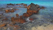 Great Snorkeling @ 69 Beach