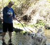 Zeus & Athena loved the water