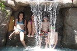 Waterfall Critters